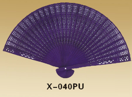 Fans-X-040